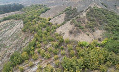 Venta de terreno agrícola de 19 hectáreas en Supe Barranca