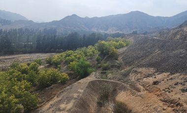 Venta de terreno agrícola de 19 hectáreas en Supe Barranca