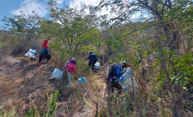 Venta de terreno agrícola de 19 hectáreas en Supe Barranca