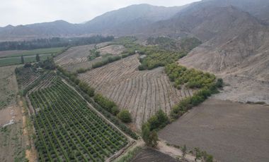 Venta de terreno agrícola de 19 hectáreas en Supe Barranca