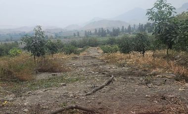 Venta de terreno agrícola de 19 hectáreas en Supe Barranca