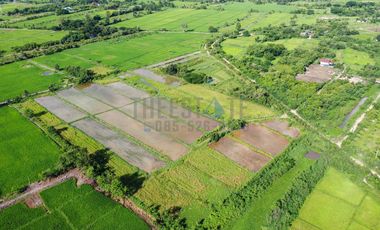 Land in San Kamphaeng for Sale