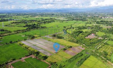 Land in San Kamphaeng for Sale