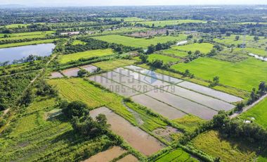 Land in San Kamphaeng for Sale
