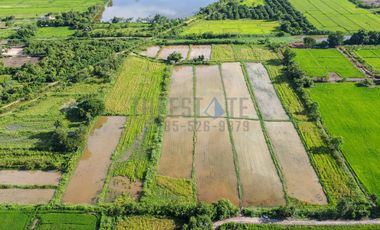 Land in San Kamphaeng for Sale