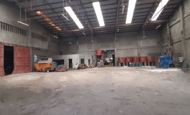 3,574 Sqm Industrial Lot with 821 Sqm Warehouse in Mandaue City, Cebu