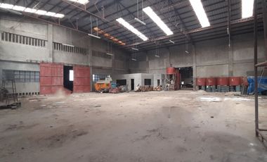 3,574 Sqm Industrial Lot with 821 Sqm Warehouse in Mandaue City, Cebu