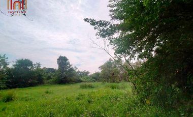 For sale: 2 plots of empty land (total sale) 102 sq m., Liap Klong Na Mai Road, Lat Lum Kaeo, Pathum Thani Province.