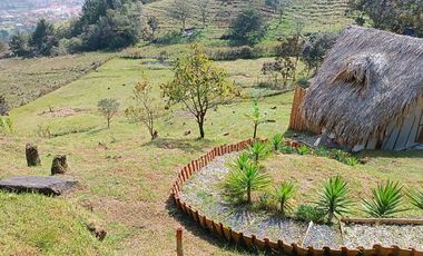 Se vende lote finca 4.968 metros, con glamping y dos casas habitables.