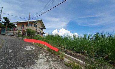 Lot For Sale Inside Pacific Heights Subdivision, Talisay City, Cebu