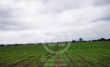 RANCHO AGRICOLA EN VENTA