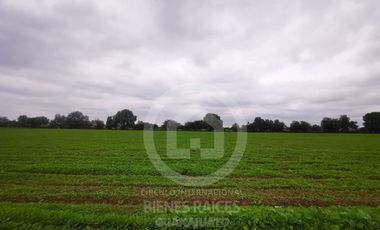 RANCHO AGRICOLA EN VENTA