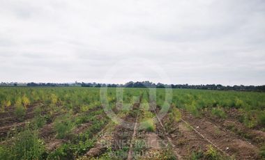 RANCHO AGRICOLA EN VENTA