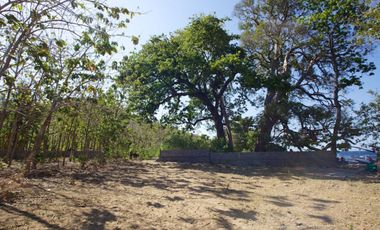 Absolute Beachfront Commercial Zoning Freehold Land of 2,770 Sqm with 65 meter wide beachfront In Amed