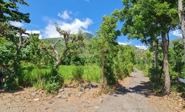 Absolute Beachfront Commercial Zoning Freehold Land of 2,770 Sqm with 65 meter wide beachfront In Amed