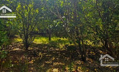 Venta de Propiedad con Casa Antigua y Amplios Jardines – Mineral del Chico, Hidalgo