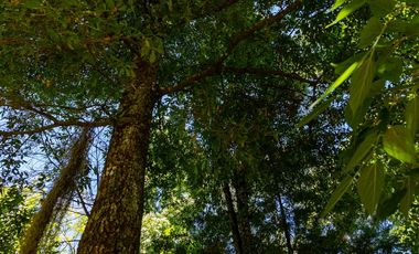 Venta de Propiedad con Casa Antigua y Amplios Jardines – Mineral del Chico, Hidalgo