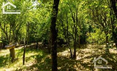 Venta de Propiedad con Casa Antigua y Amplios Jardines – Mineral del Chico, Hidalgo