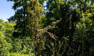 Venta de Propiedad con Casa Antigua y Amplios Jardines – Mineral del Chico, Hidalgo