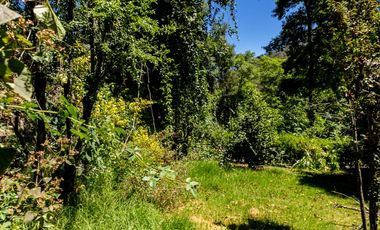 Venta de Propiedad con Casa Antigua y Amplios Jardines – Mineral del Chico, Hidalgo