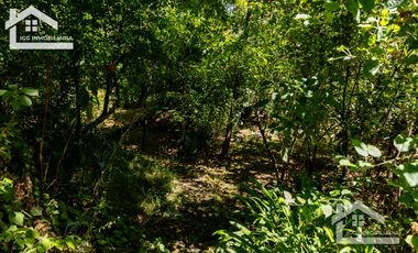 Venta de Propiedad con Casa Antigua y Amplios Jardines – Mineral del Chico, Hidalgo