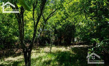 Venta de Propiedad con Casa Antigua y Amplios Jardines – Mineral del Chico, Hidalgo