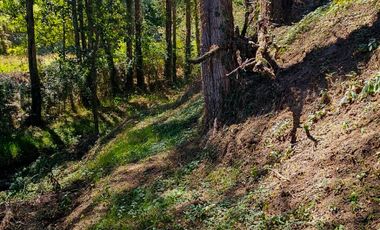 Venta de Propiedad con Casa Antigua y Amplios Jardines – Mineral del Chico, Hidalgo