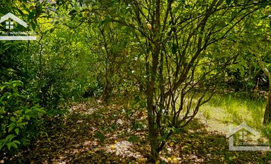 Venta de Propiedad con Casa Antigua y Amplios Jardines – Mineral del Chico, Hidalgo