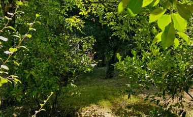 Venta de Propiedad con Casa Antigua y Amplios Jardines – Mineral del Chico, Hidalgo