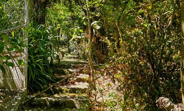 Venta de Propiedad con Casa Antigua y Amplios Jardines – Mineral del Chico, Hidalgo