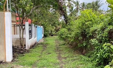 HOUSE and LOT for SALE with 2 APARTMENTS (ALL IN) Located in Valencia, Negros Oriental