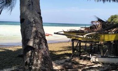 Fantastic 150sm White Sand Beach Lot in Siquijor. Rare opportunity to own a White Sand Beach.