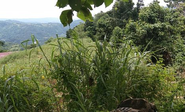 Lot For sale In Baguio
