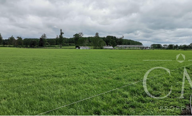 Gran parcela de 5,65 ha con rol propio en Ruta Internacional 215