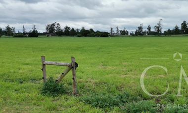 Gran parcela de 5,65 ha con rol propio en Ruta Internacional 215
