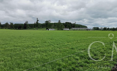 Gran parcela de 5,65 ha con rol propio en Ruta Internacional 215