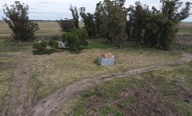 Campo en Venta en Ramon Santamarina, Buenos Aires
