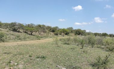 EN VENTA 11 HECTÁREAS EN LOS SABINOS EN ATOTONILCO EL GRANDE