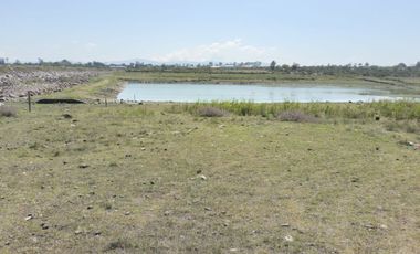 EN VENTA 11 HECTÁREAS EN LOS SABINOS EN ATOTONILCO EL GRANDE