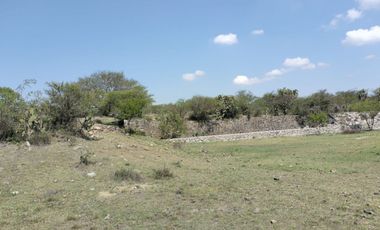 EN VENTA 11 HECTÁREAS EN LOS SABINOS EN ATOTONILCO EL GRANDE