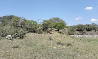 EN VENTA 11 HECTÁREAS EN LOS SABINOS EN ATOTONILCO EL GRANDE