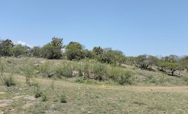 EN VENTA 11 HECTÁREAS EN LOS SABINOS EN ATOTONILCO EL GRANDE