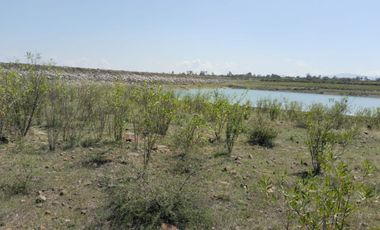 EN VENTA 11 HECTÁREAS EN LOS SABINOS EN ATOTONILCO EL GRANDE