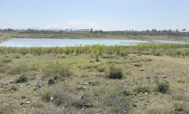 EN VENTA 11 HECTÁREAS EN LOS SABINOS EN ATOTONILCO EL GRANDE