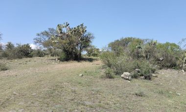 EN VENTA 11 HECTÁREAS EN LOS SABINOS EN ATOTONILCO EL GRANDE