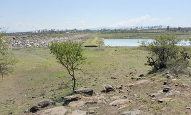 EN VENTA 11 HECTÁREAS EN LOS SABINOS EN ATOTONILCO EL GRANDE