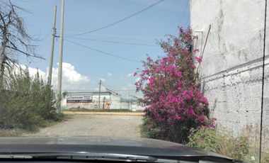 EN VENTA 11 HECTÁREAS EN LOS SABINOS EN ATOTONILCO EL GRANDE