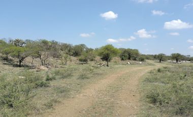 EN VENTA 11 HECTÁREAS EN LOS SABINOS EN ATOTONILCO EL GRANDE
