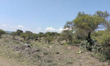 EN VENTA 11 HECTÁREAS EN LOS SABINOS EN ATOTONILCO EL GRANDE