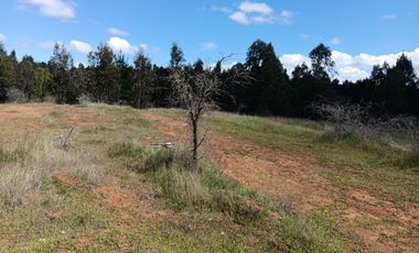 VENDO HERMOSA  PARCELA DE 5000MTS  CAMINO A PORTEZUELO CON AGUA POTABLE Y ACCESO PRIVADO